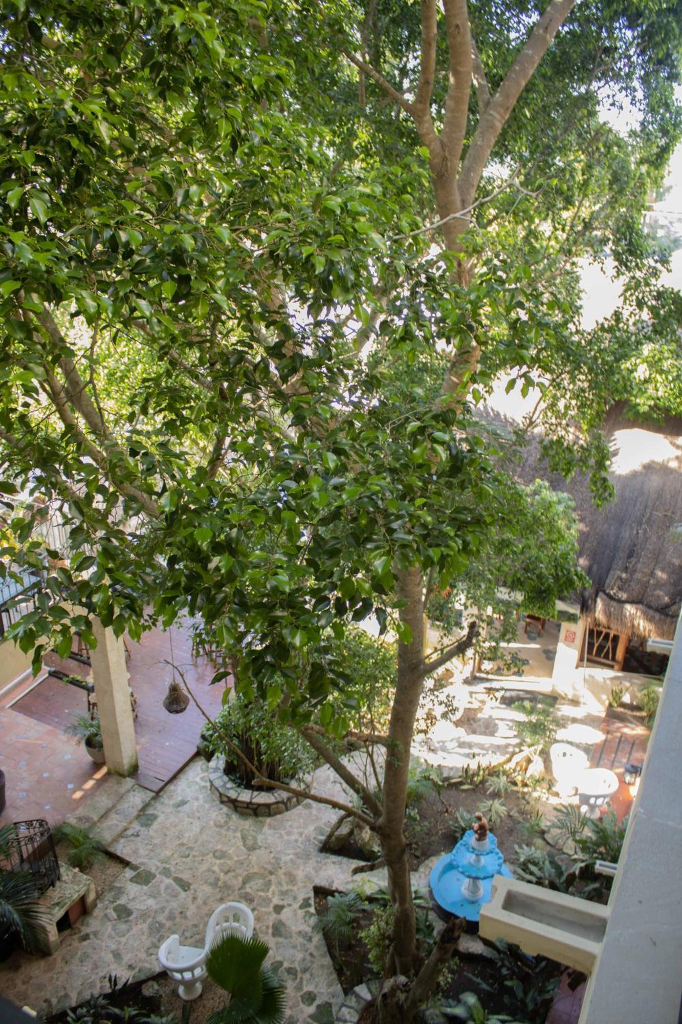 Hotel Nojoch Che Cobá المظهر الخارجي الصورة